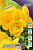 Фрезия Желтая махровая (10шт) 2265