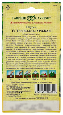 Огурец ТРИ ВОЛНЫ УРОЖАЯ ГАВРИШ описание