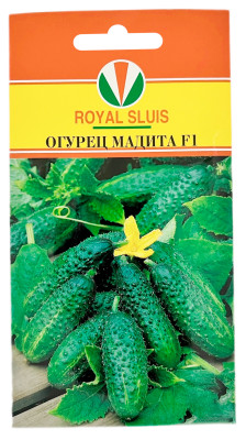 Огурец Мадита F1 АКВАРЕЛЬ Огурец Мадита F1 АКВАРЕЛЬ