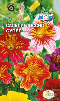 Сальпиглоссис Супер (вид: выемчатый, смесь цветов)