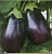 Баклажан Черный красавец (30шт)