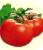 Томат Золушка Томат Золушка