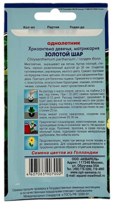 Хризантема девячья, ЗОЛОТОЙ ШАР АКВАРЕЛЬ описание