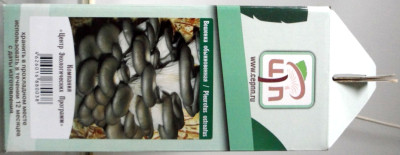 Грибы Мицелий в грибных грядках Вешенка обыкновенная