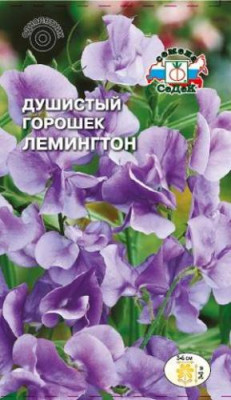 Душистый Горошек Лемингтон лавандовый