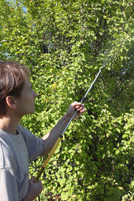 Опрыскиватель Туман складной ОГ-303М