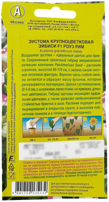 Эустома Эйбиси F1 роуз рим 5шт