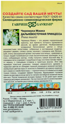 Черемуха Маака дальневосточная принцесса ГАВРИШ описание