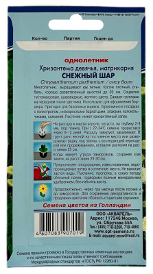 Хризантема девячья, СНЕЖНЫЙ ШАР АКВАРЕЛЬ описание