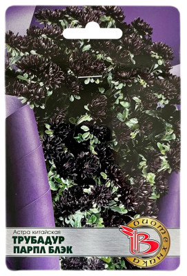 Астра китайская ТРУБАДУР ПАРПЛ БЛЭК Биотехника