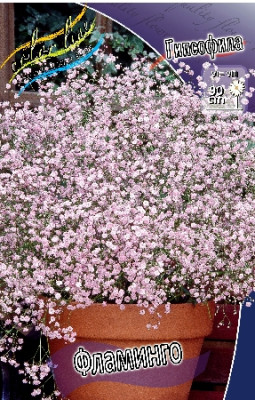 Гипсофила Фламинго (1шт) 3971