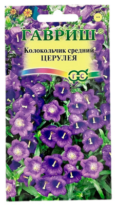 Колокольчик средний ЦЕРУЛЕЯ ГАВРИШ