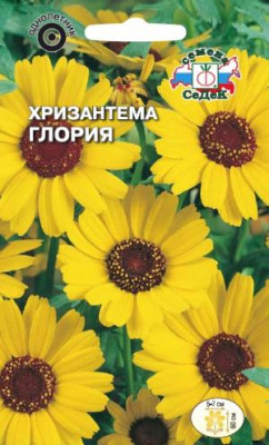 Хризантема сегетум Глория (желтая)