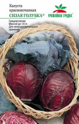 Капуста к/к Сизая голубка УГ