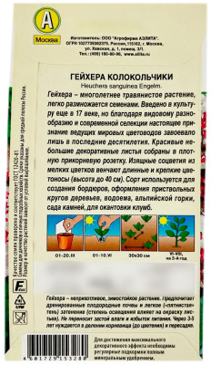 Гейхера колокольчики АЭЛИТА описание