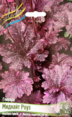 Гейхера Миднайт Роуз (1шт)