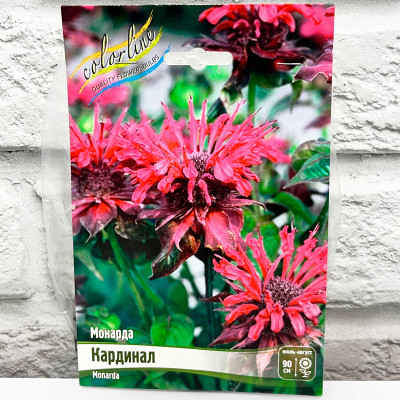 Монарда КАРДИНАЛ