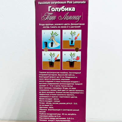 Голубика ПИНК ЛИМОНАД описание