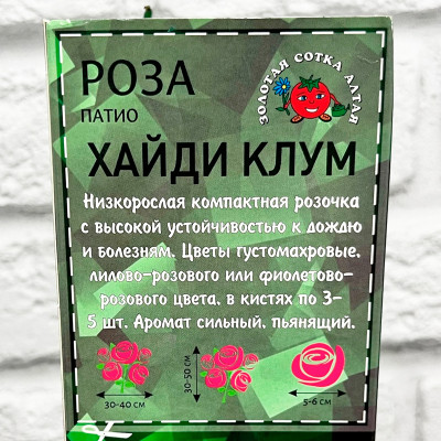 Роза патио ХАДИ КЛУМ описание