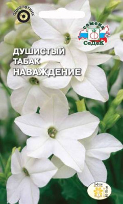 Табак Душистый Наваждение (белый)