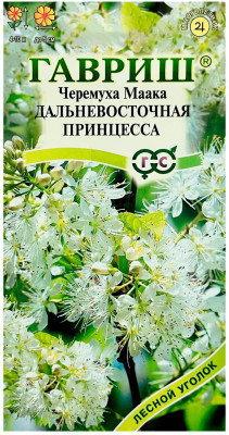 Черемуха Маака дальневосточная принцесса ГАВРИШ