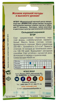 Сельдерей корневой ЕГОР ВНИИССОК описание