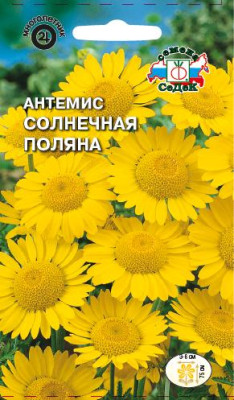 Гелениум амарум Дионис (смесь долгоцветущая)