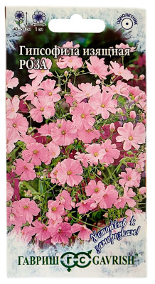 Гипсофила изящная, Роза ГАВРИШ