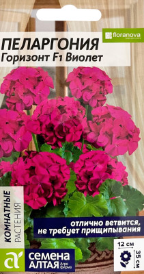 Пеларгония Горизонт F1 зональная Виолет 4шт