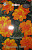 Бархатцы Оранжевые волны 0,5г