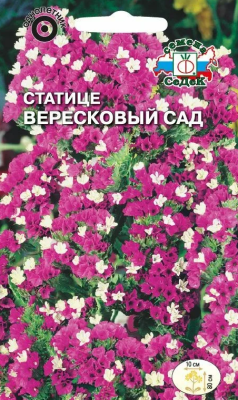 Статице Вересковый сад (вид: выемчатый, густо-розовый)