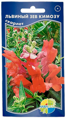 Львиный зев КИМОЗУ СКАРЛЕТ АКВАРЕЛЬ