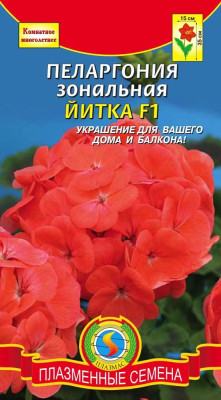 Пеларгония Герань Красный лед 3шт