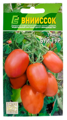 Томат БУЙ ТУР ВНИИССОК
