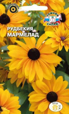 Рудбекия Мармелад  (волосистая, желто-оранжевая)