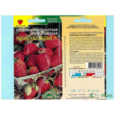 Клубника Райское Наслаждение