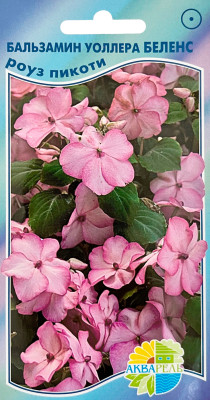 Бальзамин Беленс роуз пикоти