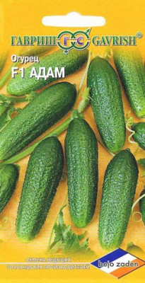Огурец Адам F1 корнишон (Голландия) Н10