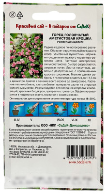 Горец головчатый АМЕТИСТОВАЯ КРОШКА СеДеК описание