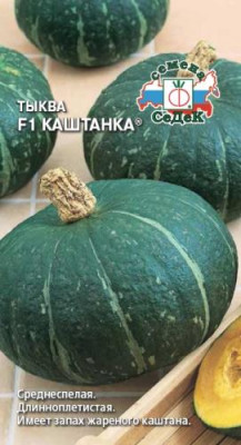 Тыква Каштанка