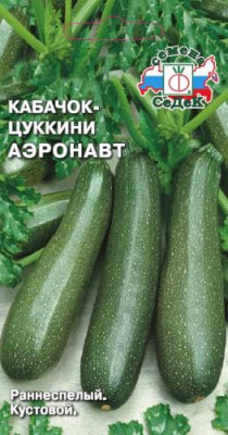 кабачок Аэронавт (Евро, 2) кабачок Аэронавт (Евро, 2)