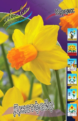 Нарцисс Джетфайер (1шт) 6490