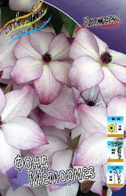 Клематис Фонд Мемориез (1шт)