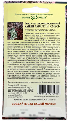 Гипоэстес Капли акварели 4шт