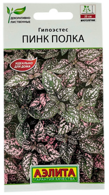 Гипоэстес ПИНК ПОЛКА АЭЛИТА