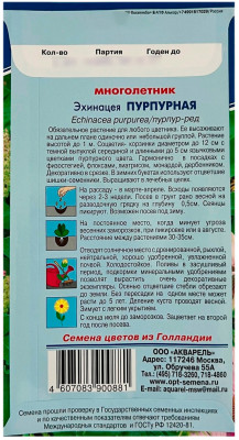 Эхинацея ПУРПУРНАЯ АКВАРЕЛЬ описание