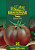 Томат Виагра, серия Юбилейный 25 шт. (большой пакет) Томат Виагра, серия Юбилейный 25 шт. (большой пакет)