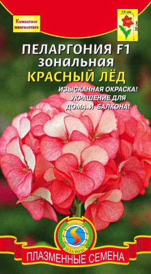 Пеларгония Герань Красный лед 3шт
