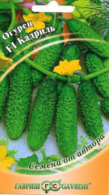 Огурец Кадриль F1 10 шт.корнишон автор. Огурец Кадриль F1 10 шт.корнишон автор.