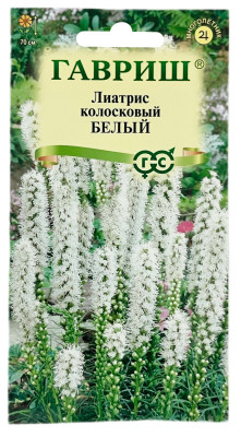 Лиатрис колосковый БЕЛЫЙ ГАВРИШ